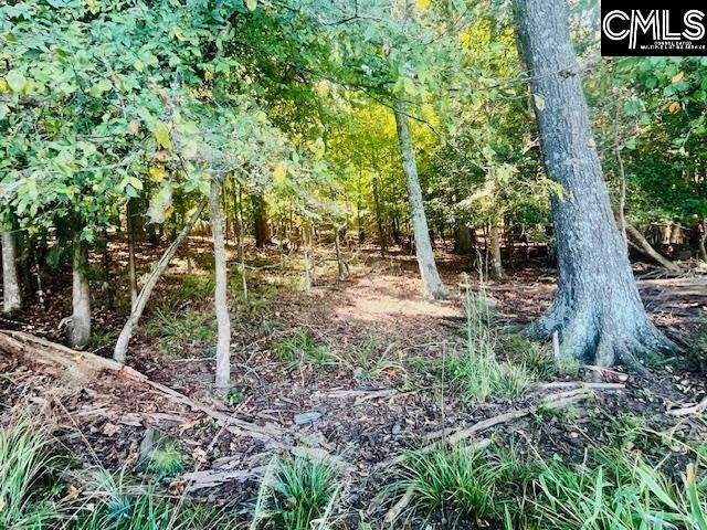 Property image 4 of 163 Murray Point in Lake Murray Estates, Batesburg, SC 29006