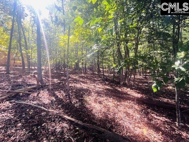 Property image 5 of 163 Murray Point in Lake Murray Estates, Batesburg, SC 29006