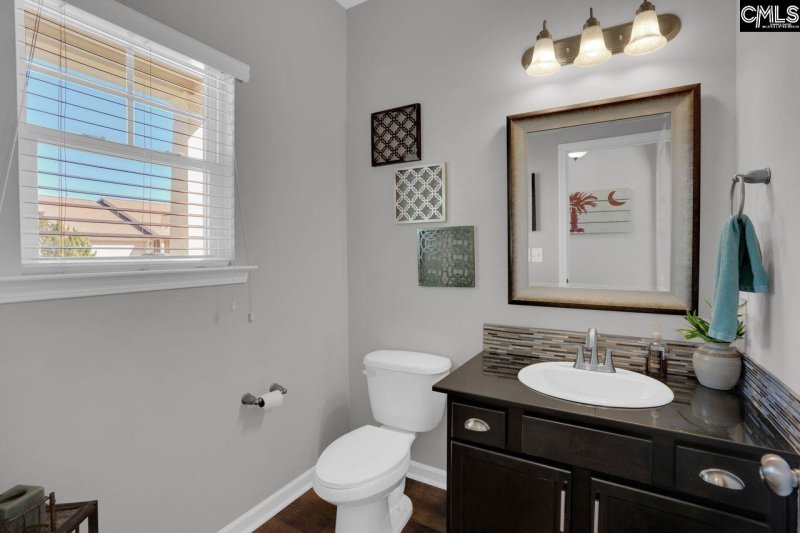 Property image 3 of 445 Crawley Lane in Westcott Ridge, Chapin, SC 29036