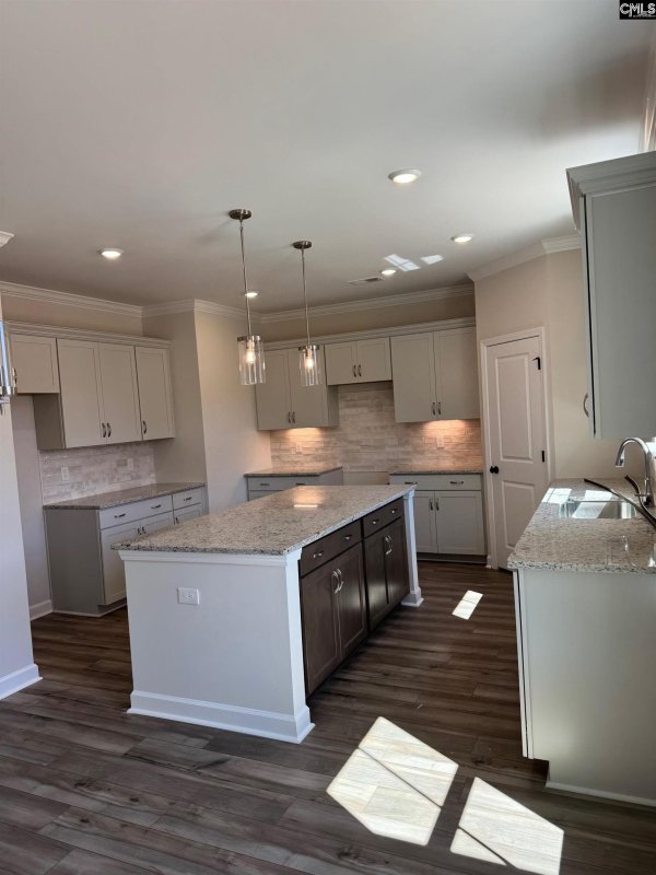 Property image 3 of 387 Rising Stream Way in Pebble Branch, Chapin, SC 29036