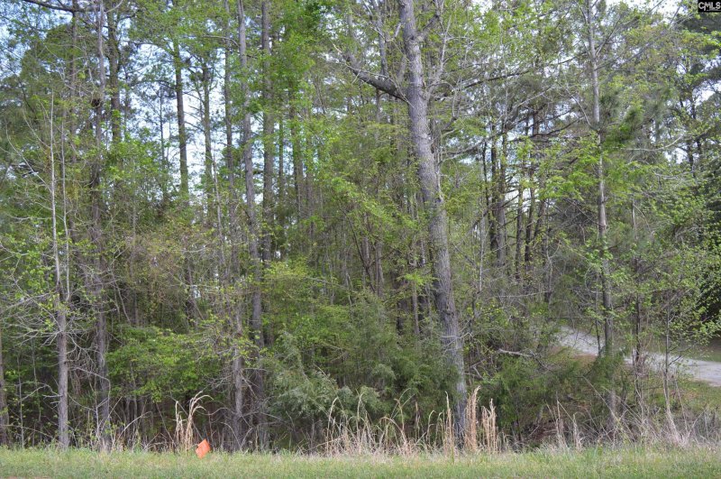 Property image 4 of 49 Club Lane in Lake Wateree, Winnsboro, SC 29180