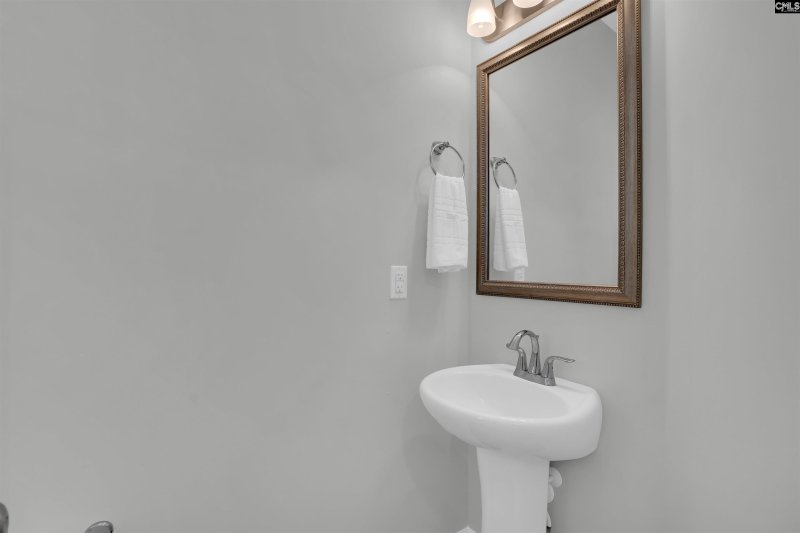 Property image 5 of 613 Calypso Court in Osprey, Chapin, SC 29036