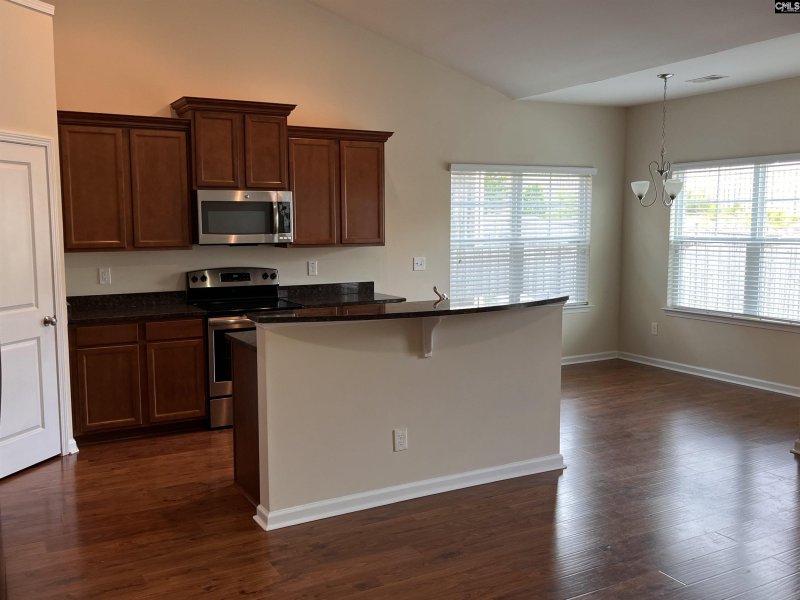 Property image 4 of 1137 Portrait Hill Drive in Portrait Hill, Chapin, SC 29036