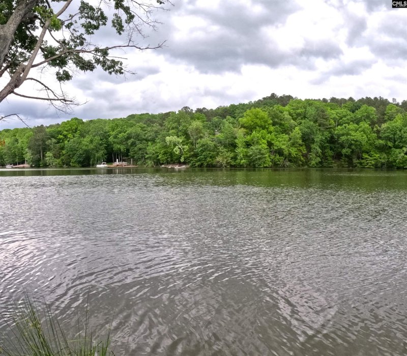 Debutary Pointe, Great Falls community