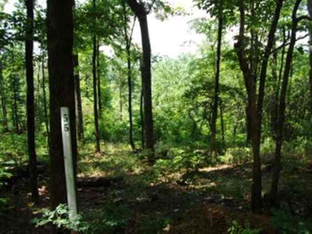 Property image 3 at Lot 55 Look Off Drive, Cleveland, SC 29635