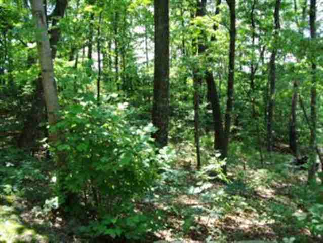 Property image 4 at Lot 55 Look Off Drive, Cleveland, SC 29635