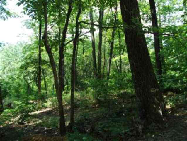 Property image 5 at Lot 55 Look Off Drive, Cleveland, SC 29635