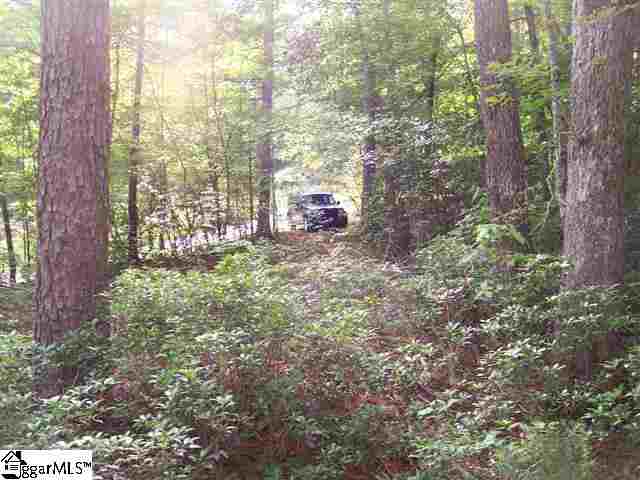 Property image 5 at 354 Gauley Falls Road, Pickens, SC 29671