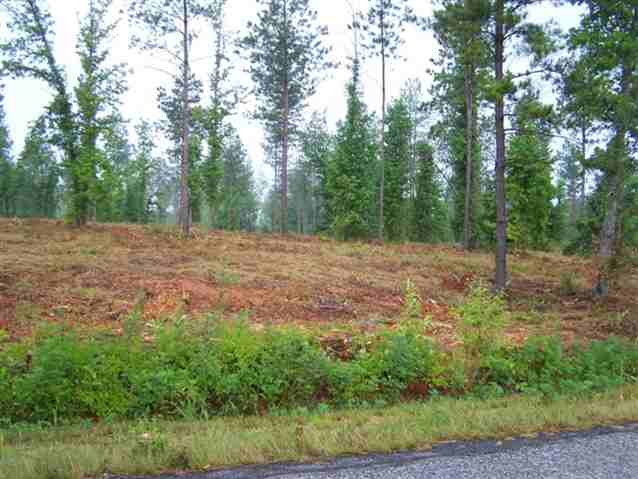 Property image 2 at 0 Stewart Dairy Road, Gray Court, SC 29645