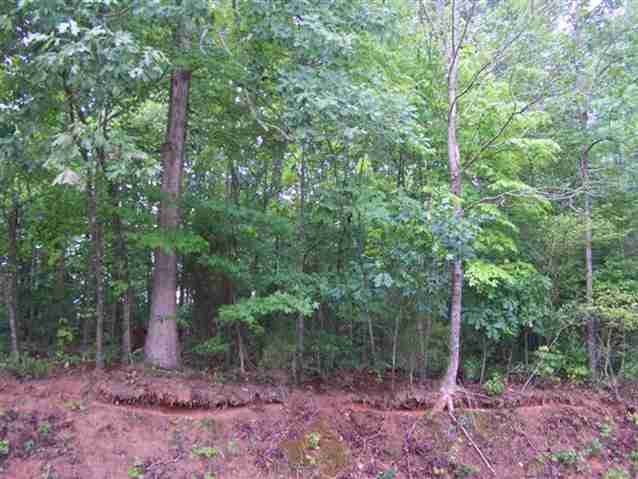 Property image 3 at 0 Stewart Dairy Road, Gray Court, SC 29645