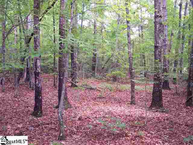 Property image 3 at Tract 33 Mountain Ridge Estates, Cleveland, SC 29635