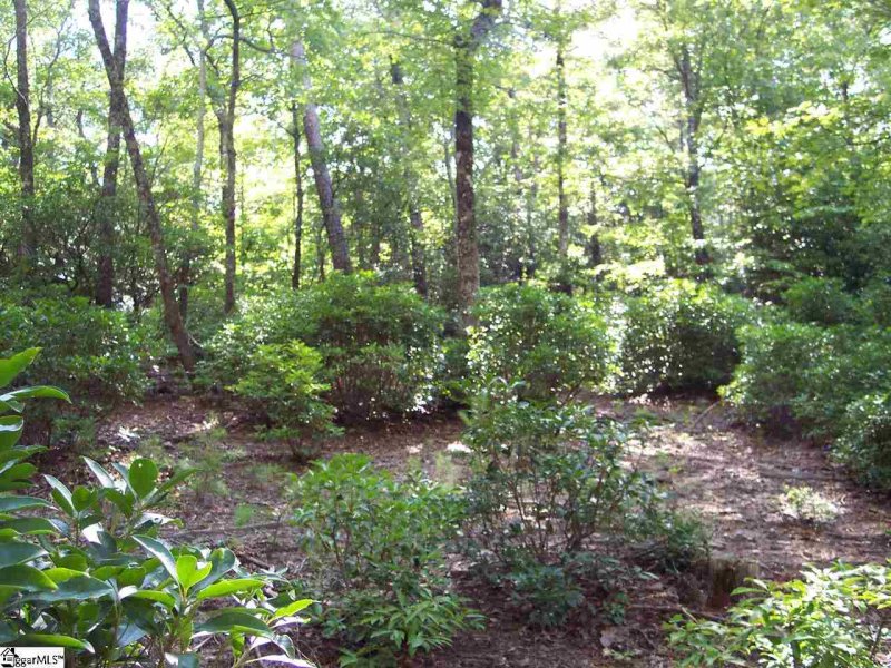 Property image 3 at Lot 5 Woods Pond Court, Cleveland, SC 29635