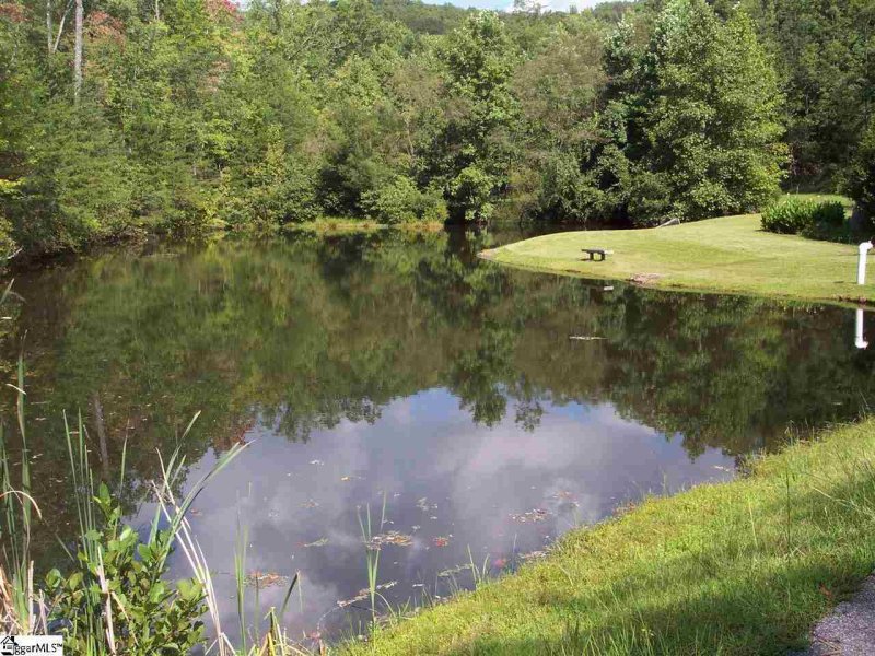 Property image 4 at Lot 5 Woods Pond Court, Cleveland, SC 29635