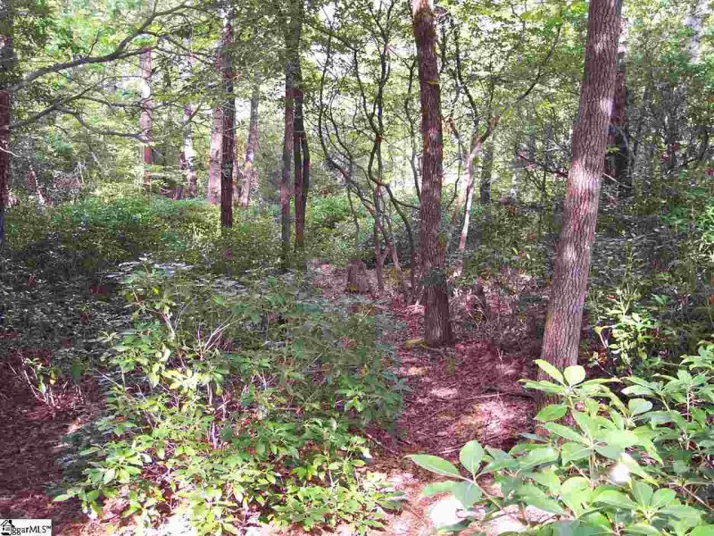 Property image 5 at Lot 5 Woods Pond Court, Cleveland, SC 29635