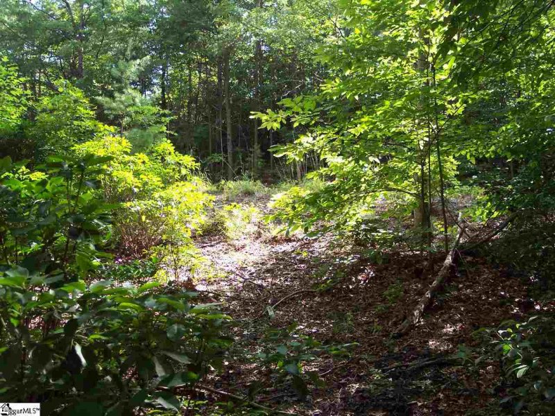 Property image 4 at Lot 4 Woods Pond Court, Cleveland, SC 29635