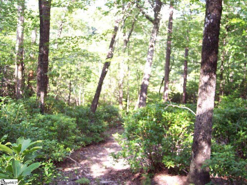 Property image 5 at Lot 4 Woods Pond Court, Cleveland, SC 29635