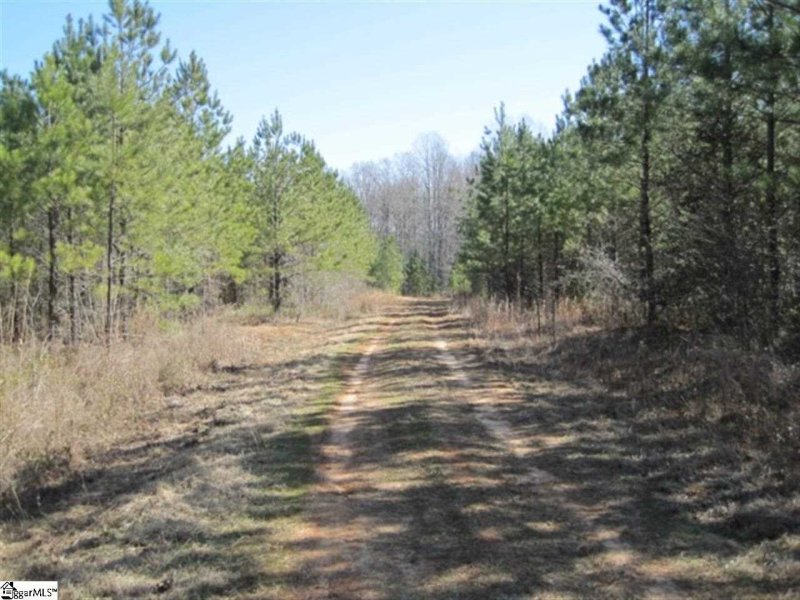 826 Dunklin Bridge