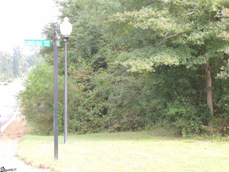 Property image 3 at Lot 160 Carolina Way, Fountain Inn, SC 29644