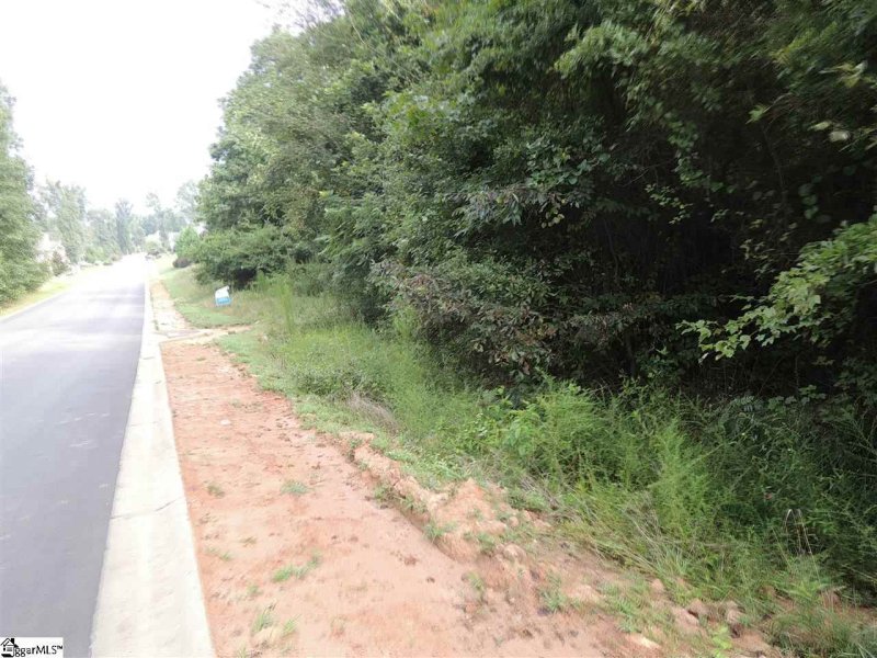 Property image 4 at Lot 160 Carolina Way, Fountain Inn, SC 29644