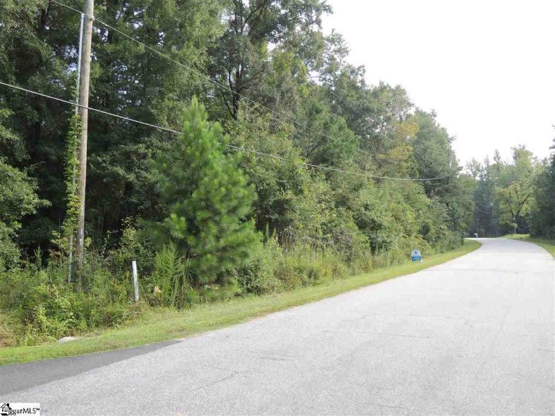 Property image 5 at Lot 160 Carolina Way, Fountain Inn, SC 29644