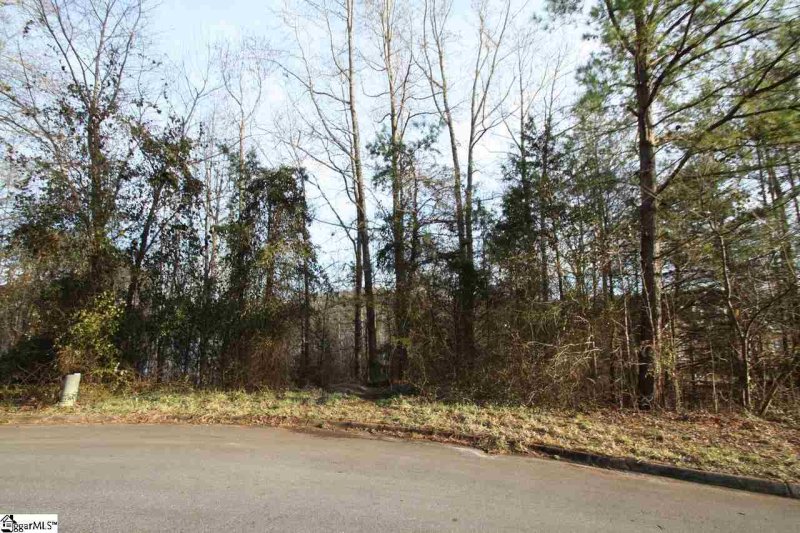 lot 25 Bass Cove Drive