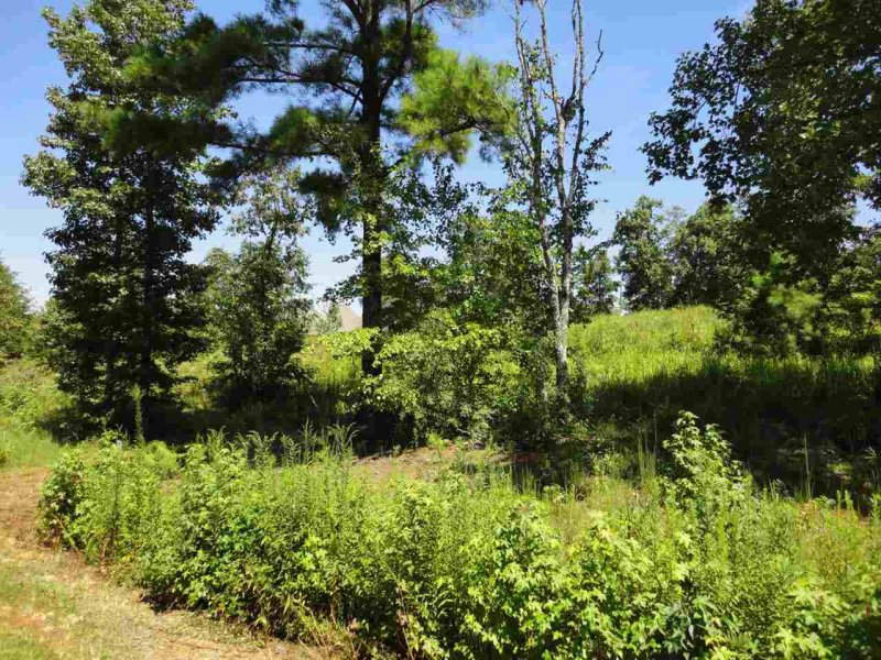 Property image 3 at 614 Mica Lane, Chesnee, SC 29323