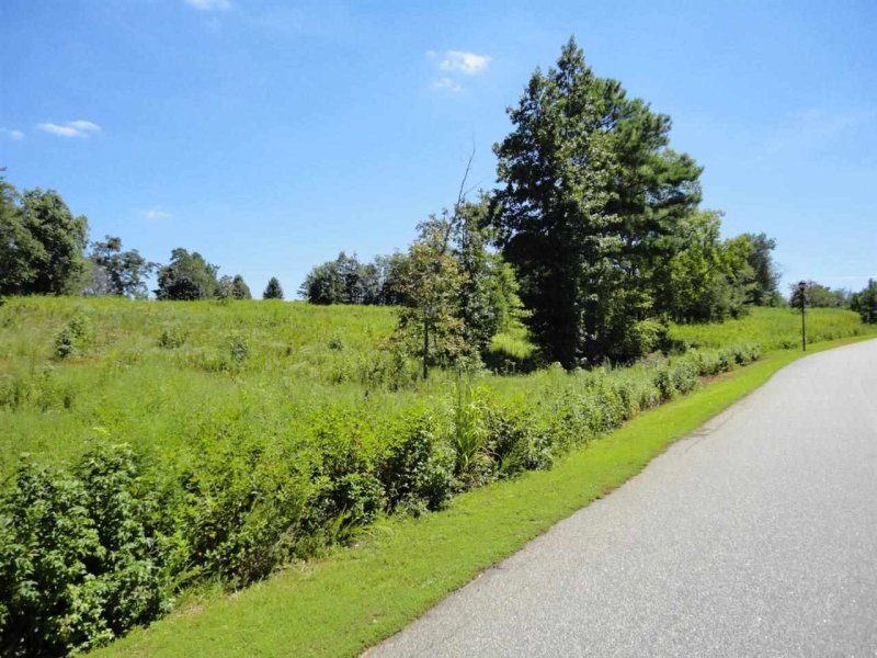 Property image 5 at 614 Mica Lane, Chesnee, SC 29323