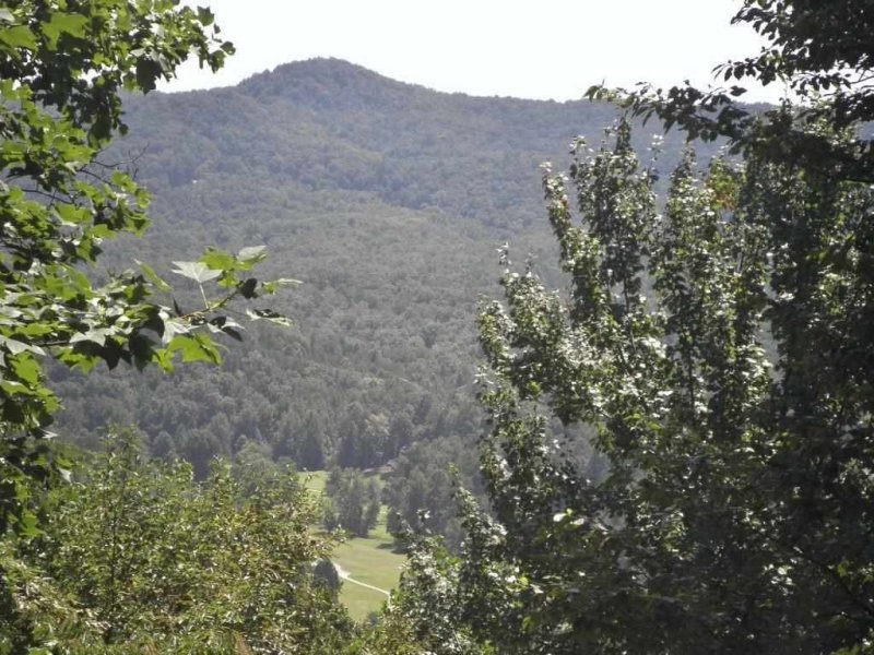 Property image 2 at 805 Whispering Falls Drive, Pickens, SC 29671