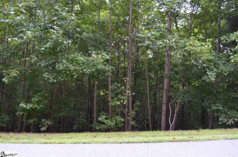 Property image 2 at 35 Terra Trace Way, Travelers Rest, SC 29690