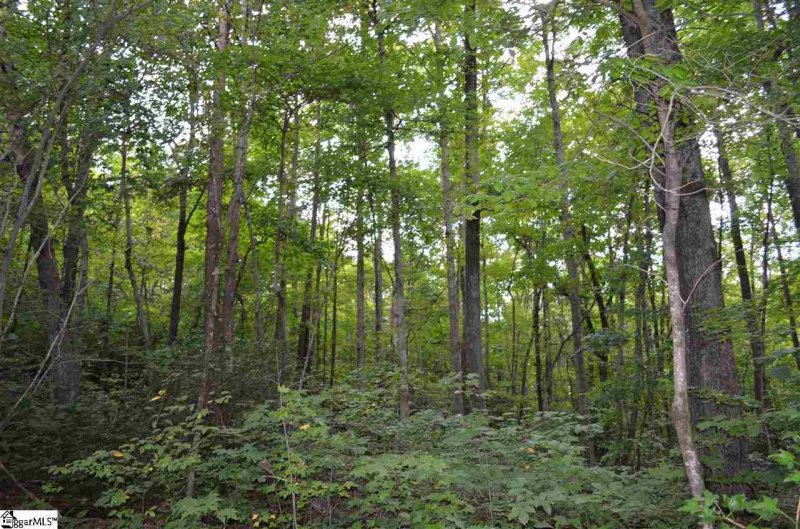 Property image 3 at 35 Terra Trace Way, Travelers Rest, SC 29690