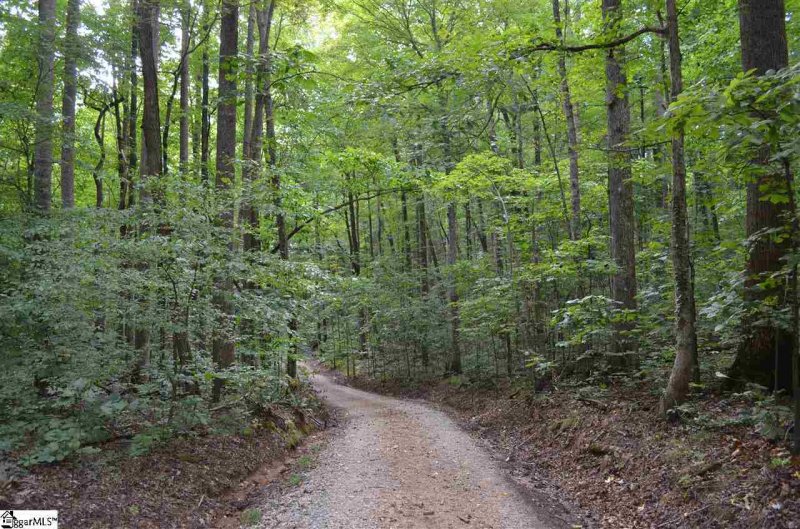 Property image 4 at 35 Terra Trace Way, Travelers Rest, SC 29690