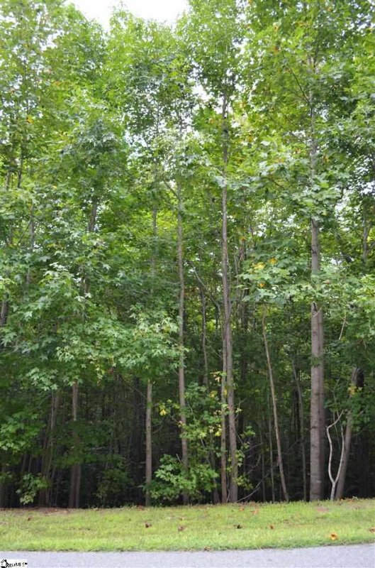 Property image 5 at 35 Terra Trace Way, Travelers Rest, SC 29690