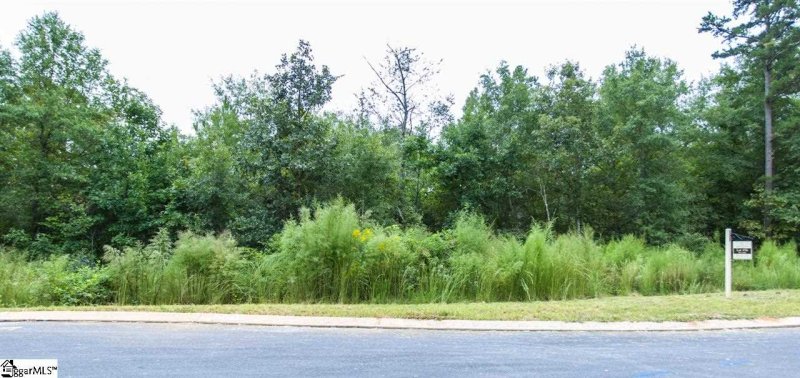 Property image 2 at 304 Red Spruce Lane, Greer, SC 29651