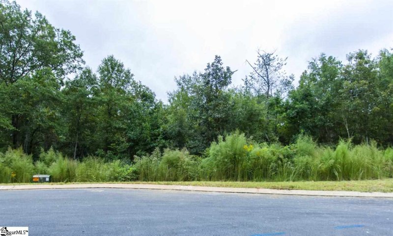 Property image 3 at 304 Red Spruce Lane, Greer, SC 29651