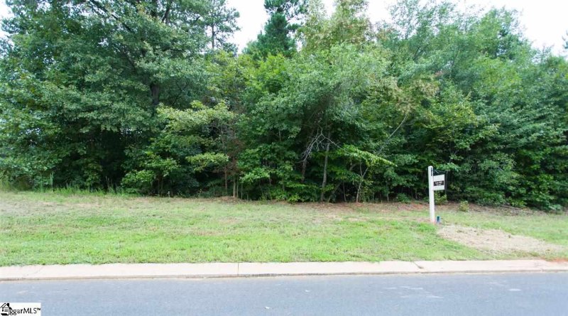 Property image 3 at 301 Red Spruce Lane, Greer, SC 29651