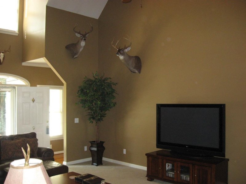 Property image 4 at 9 Harvester Lane, Fountain Inn, SC 29644