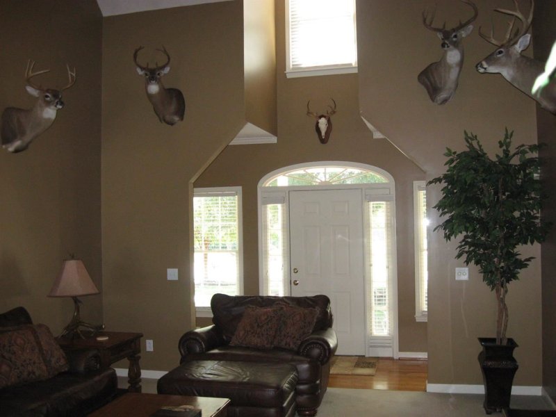 Property image 5 at 9 Harvester Lane, Fountain Inn, SC 29644