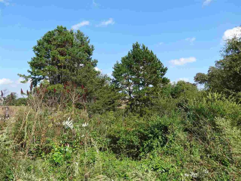 259 Abner's trail Road