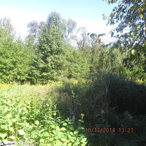 Property image 3 at 5 Creek Crossing Way, Greer, SC 29651