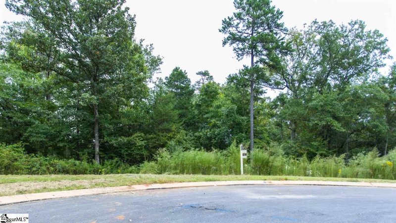 Property image 2 at 308 Red Spruce Lane, Greer, SC 29651