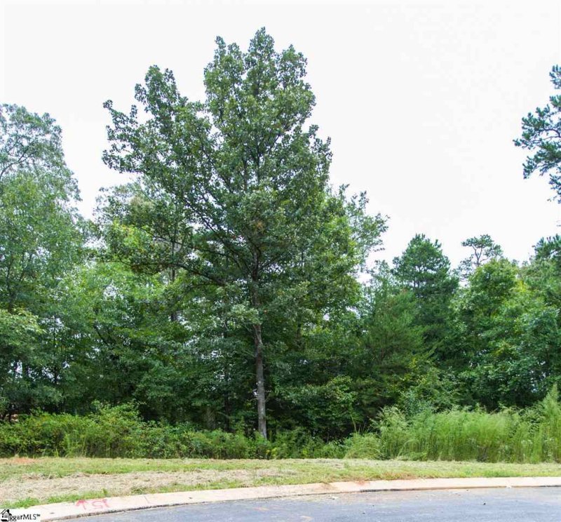 Property image 3 at 308 Red Spruce Lane, Greer, SC 29651