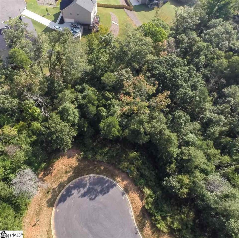 Property image 4 at 308 Red Spruce Lane, Greer, SC 29651