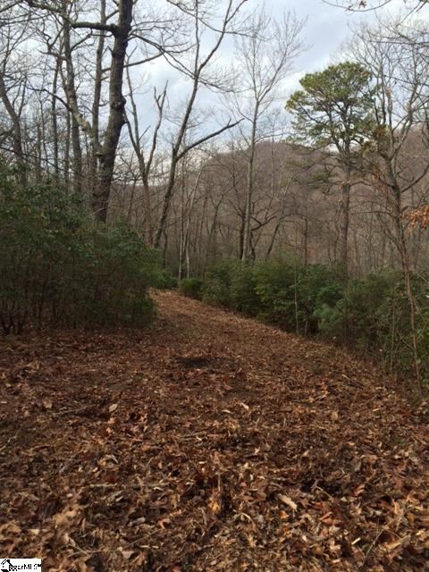 Panther Mountain Road