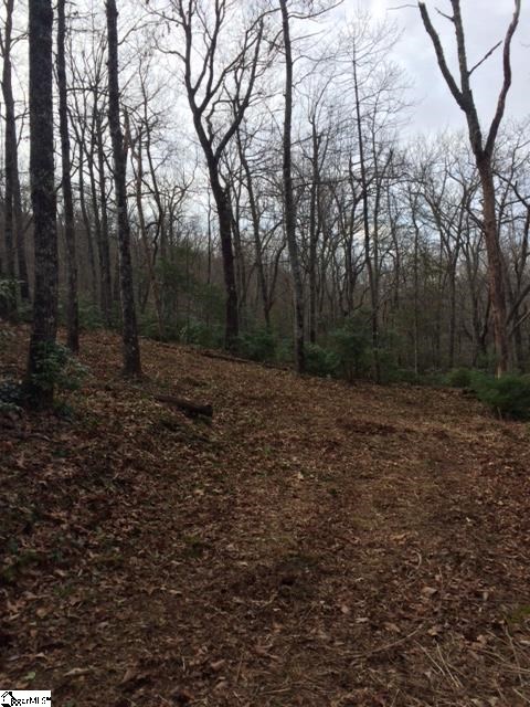 Property image 3 of Panther Mountain Road in Cliffs Valley, Travelers Rest, SC 29690