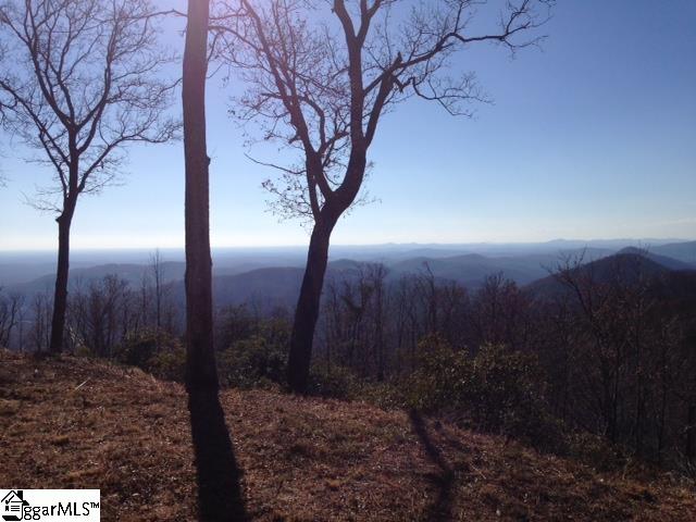 Property image 3 of 1506 Panther Park Trail in Cliffs Valley, Travelers Rest, SC 29690