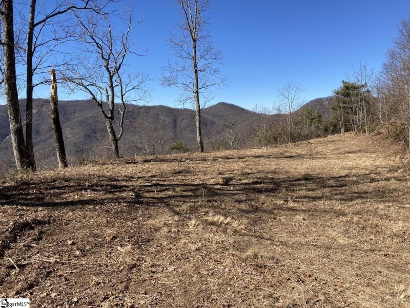 Property image 4 of 1506 Panther Park Trail in Cliffs Valley, Travelers Rest, SC 29690