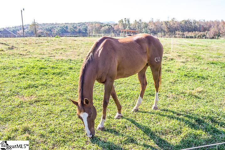 Property image 5 at 3 Fancy Lane, Travelers Rest, SC 29690
