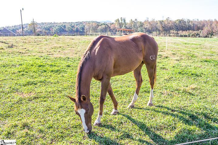 Property image 5 at 7 Fancy Lane, Travelers Rest, SC 29690