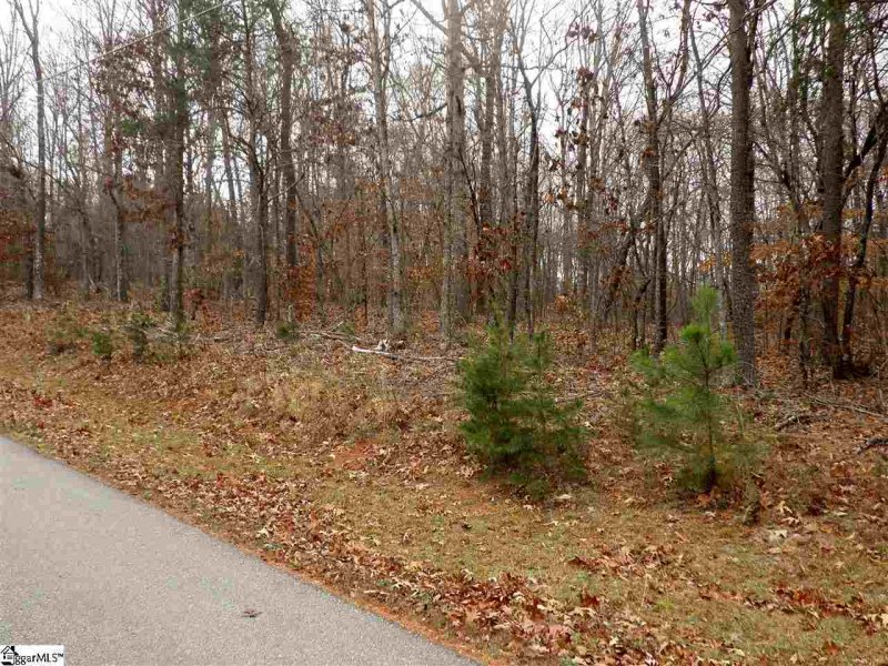 Property image 4 at 219 Dove Hill Circle, Easley, SC 29640