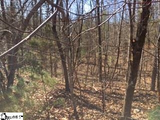 Property image 2 at 802 Scharlin Drive, Pickens, SC 29671